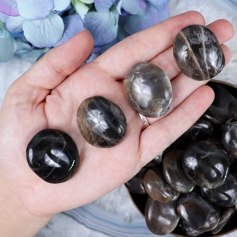 Black Moonstone Button XL | Sage Crystals