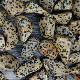 DALMATIAN JASPER