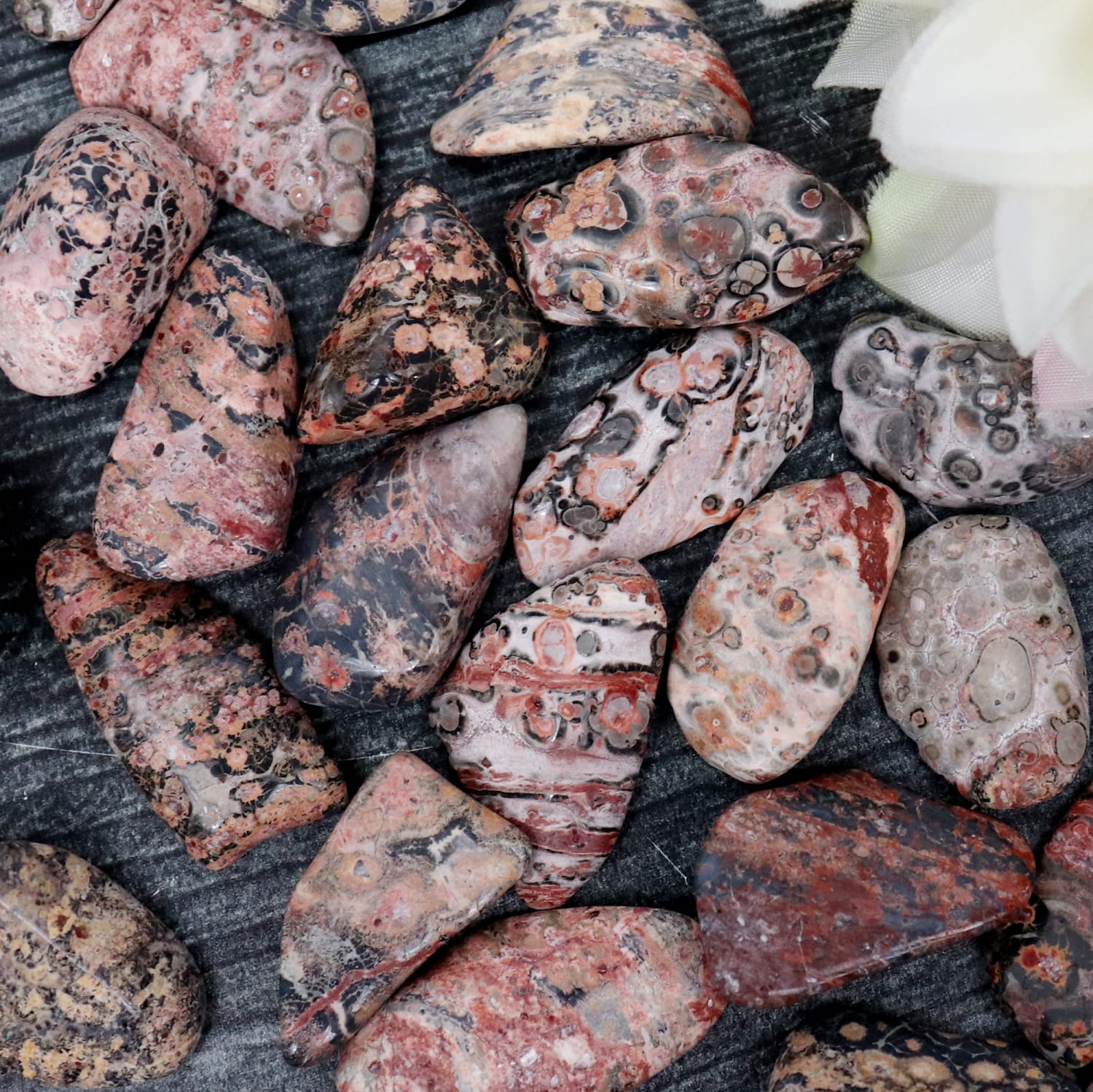 Leopard Jasper Healing Crystal Protective Stone, Energy, Sage Crystals