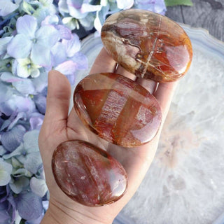 Petrified Wood
