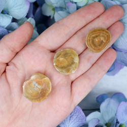 Dolomite Seer Stone | Sage Crystals