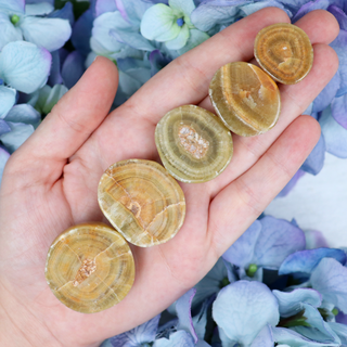 Dolomite Seer Stone | Sage Crystals