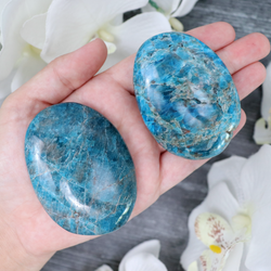 Blue Apatite Palmstone | Sage Crystals