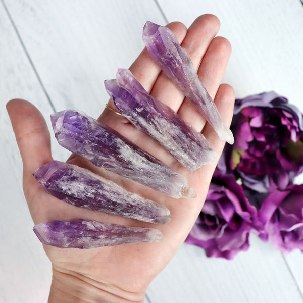 amethyst-root-small-2-specimens-140.jpg