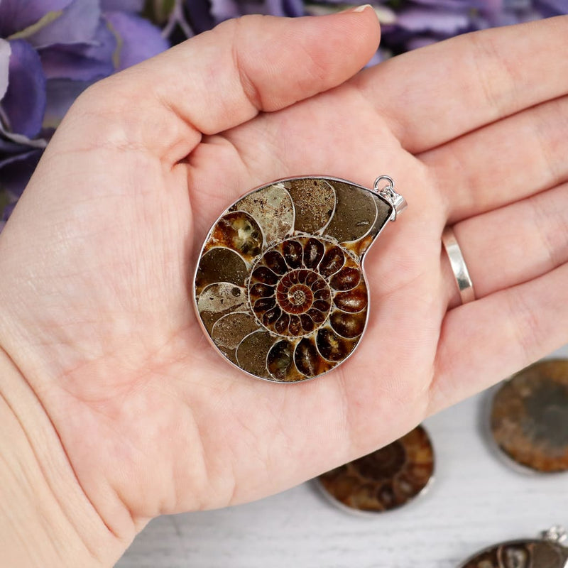 ammonite-polished-necklace-necklaces-491_81f5eb8c-4ce7-46c8-8aa4-ad1b04efaa41.jpg