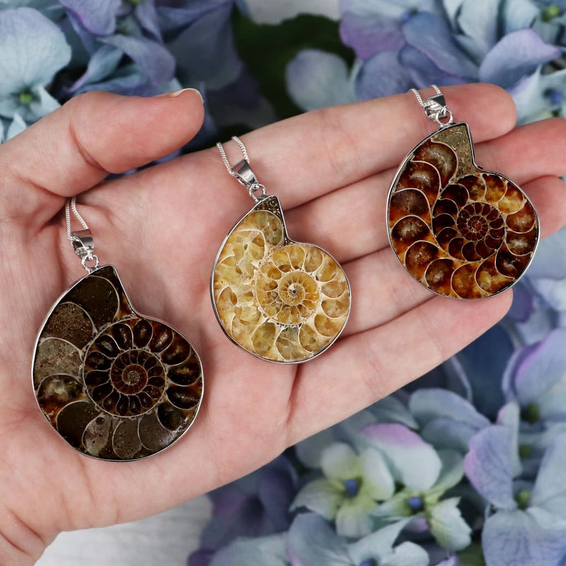 ammonite-polished-necklace-necklaces-647_c2b9776e-39ac-404f-b4fe-86d1a6c99eb2.jpg