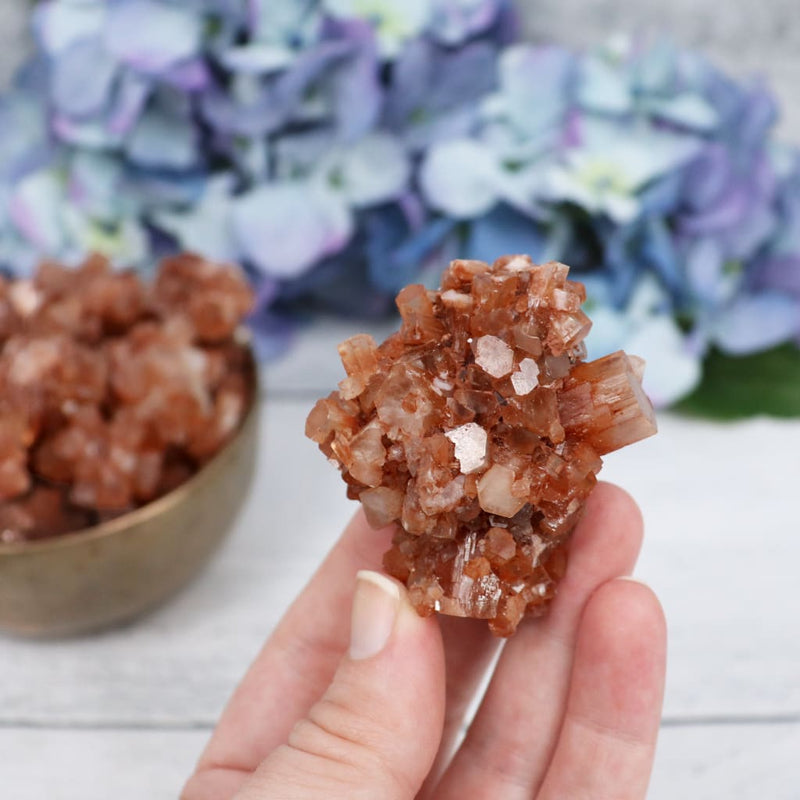 Aragonite Star Cluster - L - 51-75g - Specimens