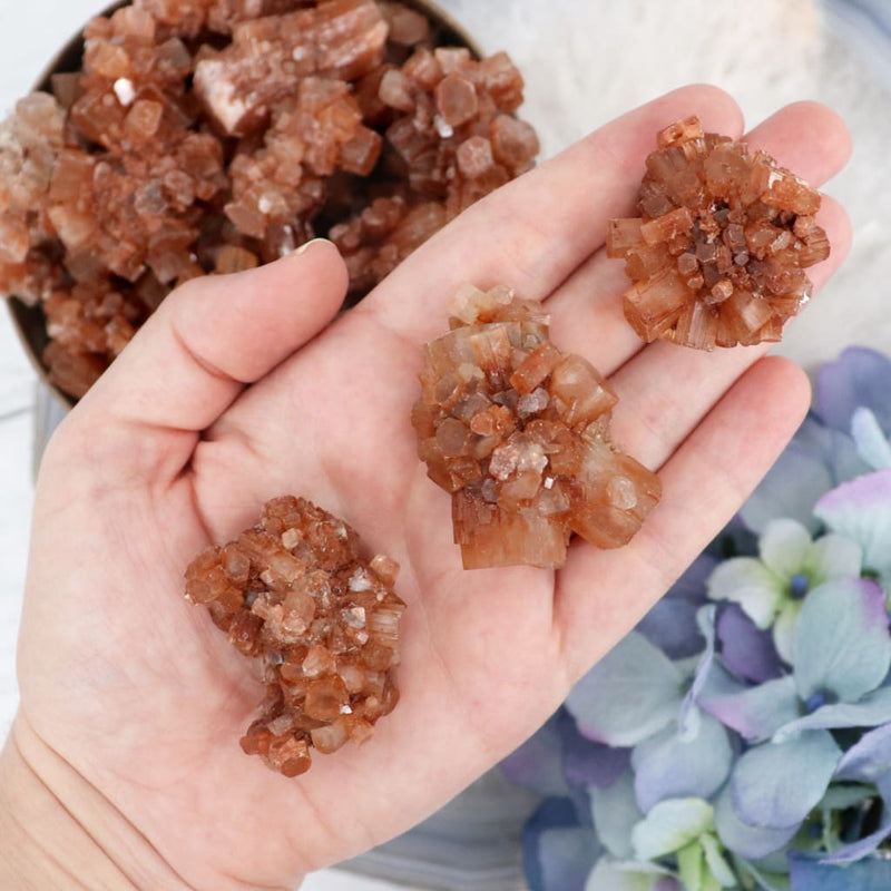 Aragonite Star Cluster - M - 26-50g - Specimens