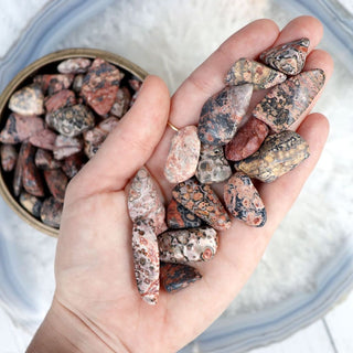 Leopard Jasper Tumble - Tumbles