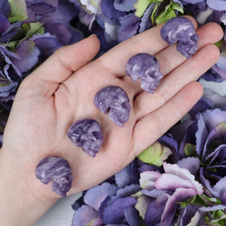 lepidolite-skull-carvings-488_f382ef46-c9be-4579-ba35-ad3fca6ec395.jpg