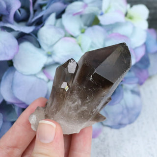 Smokey Quartz Cluster - Large - Specimens