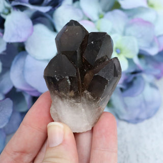 Smokey Quartz Cluster - Medium - Specimens