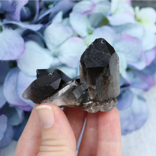 Smokey Quartz Cluster - Small - Specimens