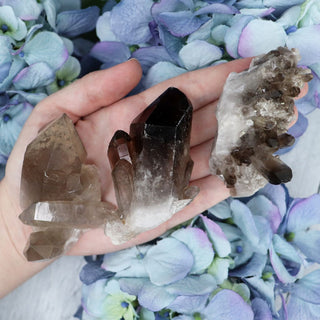 Smokey Quartz Cluster - Specimens