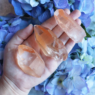 Tangerine Lemurian Quartz Point - Large - 3 - Points