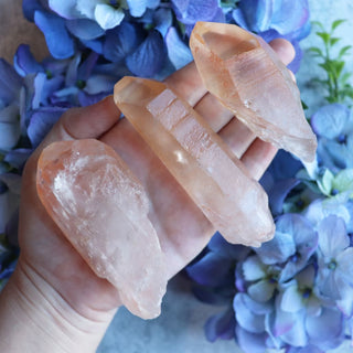 Tangerine Lemurian Quartz Point - XL - 4 - Points