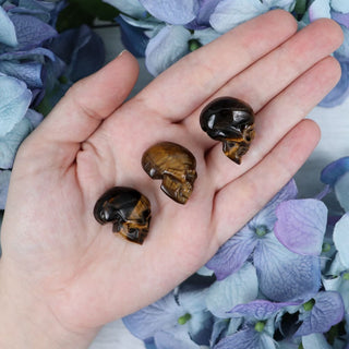 tigers-eye-skull-carvings-256_f0a91d22-51f4-49fe-b0b5-7d3991d264bd.jpg