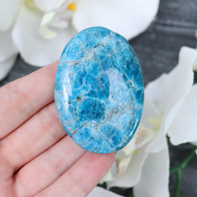 Blue Apatite Palmstone | Sage Crystals