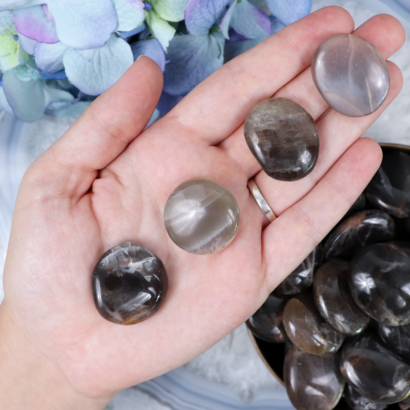 Black Moonstone Button Medium | Sage Crystals