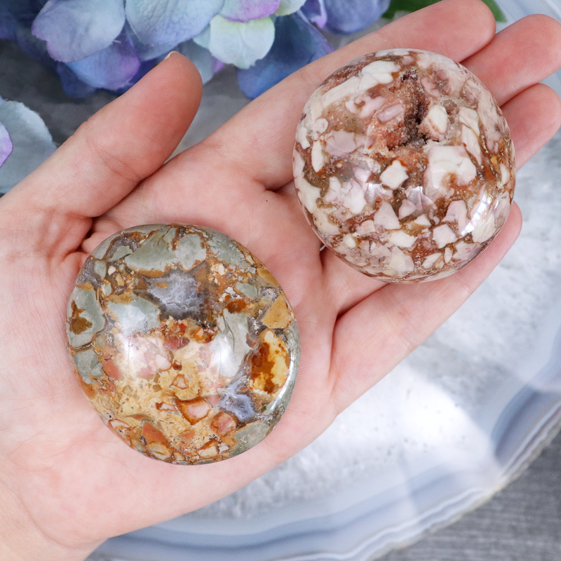 Ibis Jasper Palmstone - Small | Sage Crystals