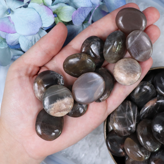 Black Moonstone Button | Sage Crystals