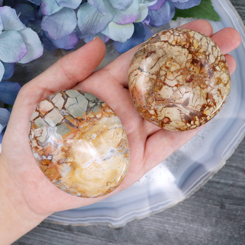 Ibis Jasper Palmstone - Medium | Sage Crystals