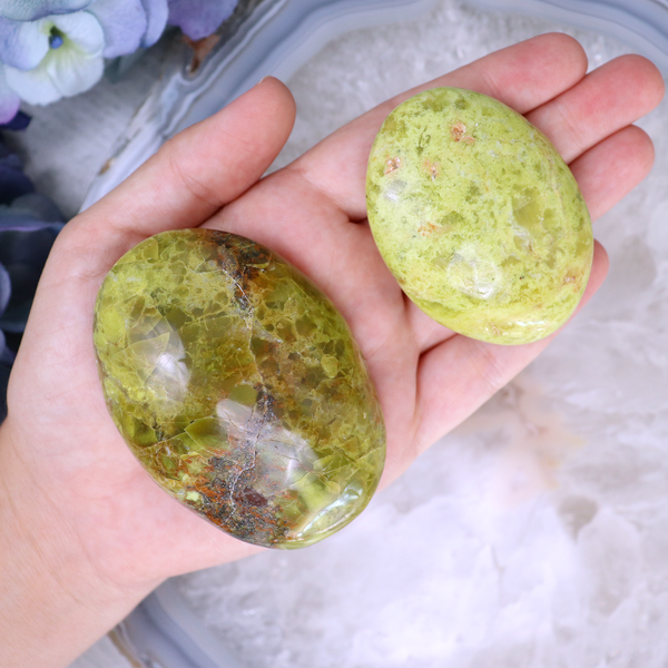 Green Opal Palmstone | Sage Crystals