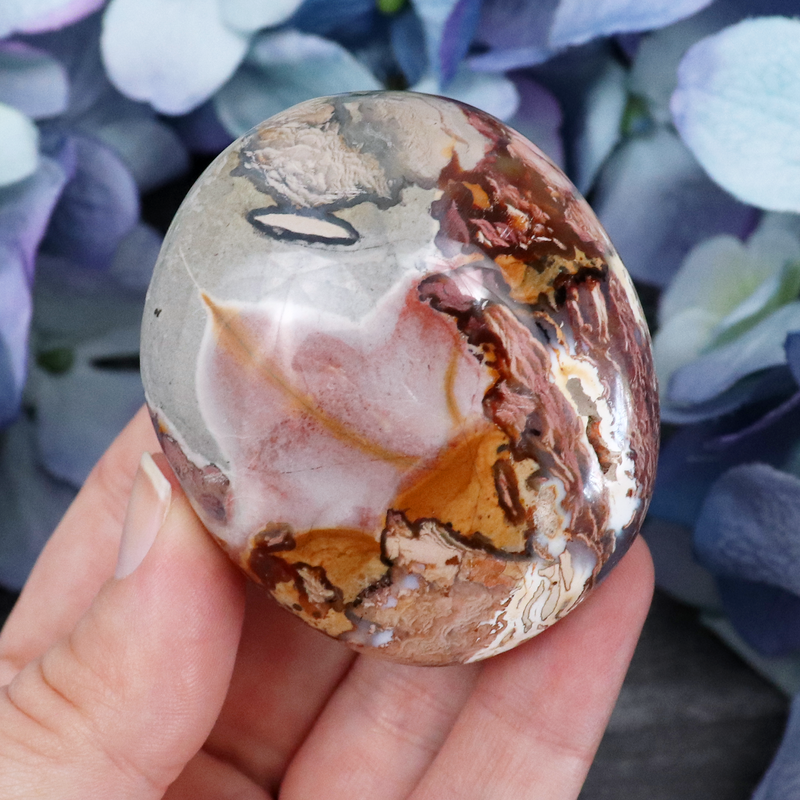 Ibis Jasper Palmstone | Sage Crystals