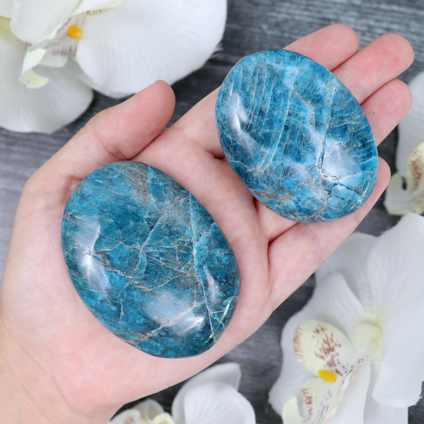 Blue Apatite Palmstone | Sage Crystals