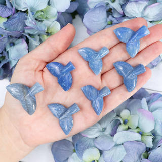 Blue Aventurine Mini Whale Tail