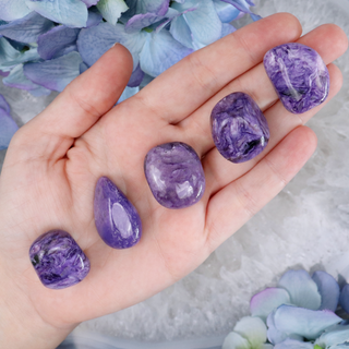 High-Grade Charoite Tumble