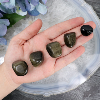 Gold Sheen Obsidian Tumble
