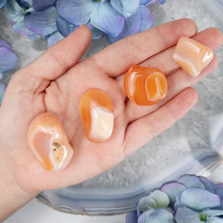 Apricot Orange Botswana Agate Tumble
