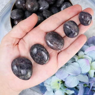 Gemmy Iolite Sunstone Pebble