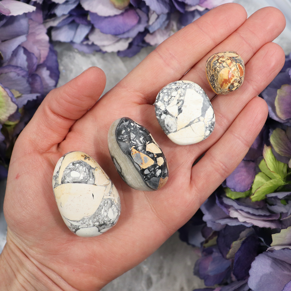 A hand holding several polished Maligano Jasper pebbles with varied patterns of white, black, yellow, and beige colors.