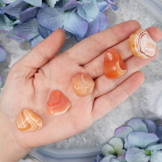 Apricot Orange Botswana Agate Tumble