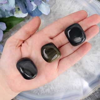 Gold Sheen Obsidian Tumble