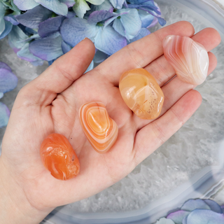 Apricot Orange Botswana Agate Tumble