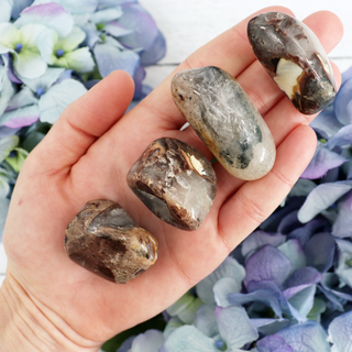 Polished Mosaic Chalcedony Quartz