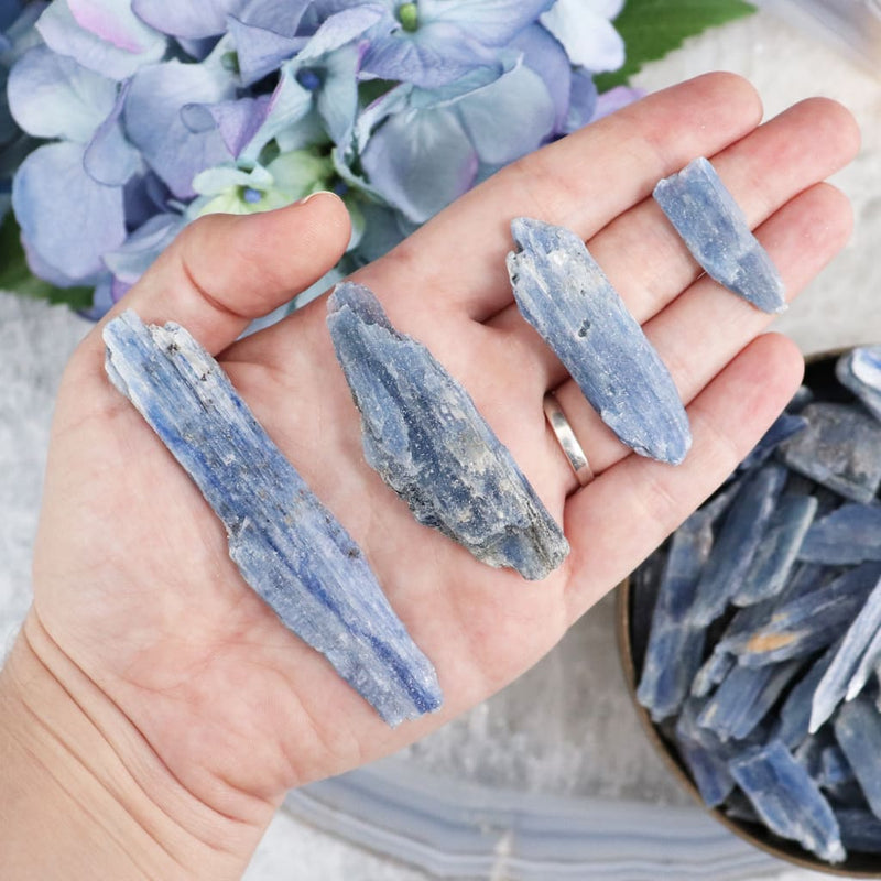 blue-kyanite-blade-medium-2-specimens-651_0354c901-cb46-4425-89d2-2892161fbf9c.jpg