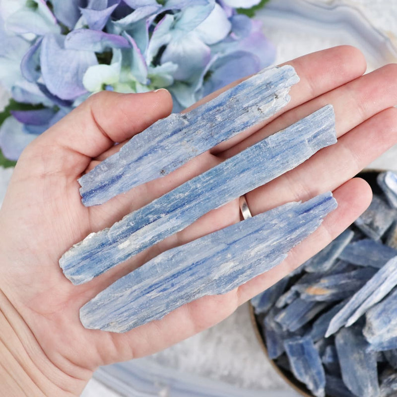 blue-kyanite-blade-specimens-298_67e073a8-3021-42f0-8544-5636f233294e.jpg