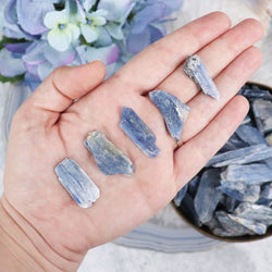 blue-kyanite-blade-xs-1-specimens-820_bba9b8b1-b1ec-461a-abeb-1ce95aa8906d.jpg
