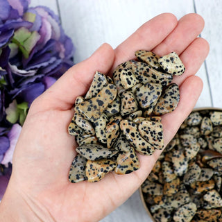 Dalmatian Jasper Tumble - Tumbles