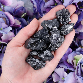 Elite Noble Shungite Water Set - Sets