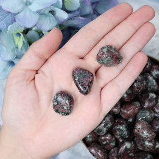 Eudialyte Pebble - Small - Pebbles