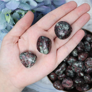 Eudialyte Pebble - XL - Pebbles