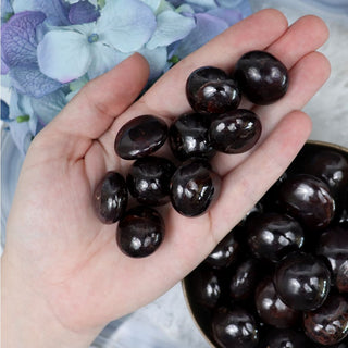 Garnet Star Pebble - Pebbles