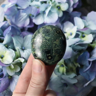 Kambaba Jasper Palmstone - Small - Palmstones