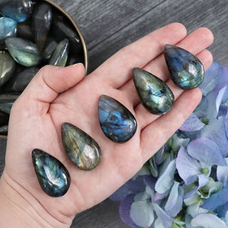 Labradorite Drop - Medium - Drops