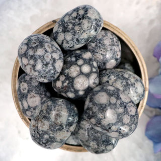 leucitite-tumble-tumbles-290.jpg